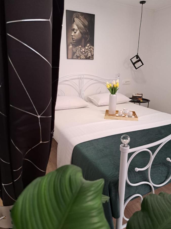 자다르 Studio Apartman Maris 아파트 외부 사진
